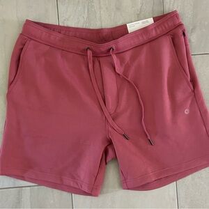 NEW American Eagle Joggers 5.5” Soft Fleece - Mens Size Large